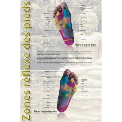 1art1 Réflexologie Poster Zones De Réflexe des Pieds Affiche Murale 91x61 cm - Publicité 1art1 Réflexologie Poster Zones De Réflexe des Pieds Affiche Murale 91x61 cm - Publicité