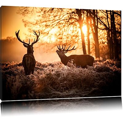 Pixxprint Hirsch rivaux se battent Format: toile 120x80auf, XXL énormes Photos complètement encadrés par la civière, l'impression de l'image Art mural avec cadre, moins cher que peintures à l'huile et de l'image, aucune affiche ou poster - Publicité Pixxprint Hirsch rivaux se battent Format: toile 120x80auf, XXL énormes Photos complètement encadrés par la civière, l'impression de l'image Art mural avec cadre, moins cher que peintures à l'huile et de l'image, aucune affiche ou poster - Publicité