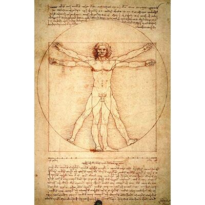 1art1 Leonardo Da Vinci Posters XXL Homme De Vitruve, vers 1490 Affiche 120x80 cm - Publicité 1art1 Leonardo Da Vinci Posters XXL Homme De Vitruve, vers 1490 Affiche 120x80 cm - Publicité