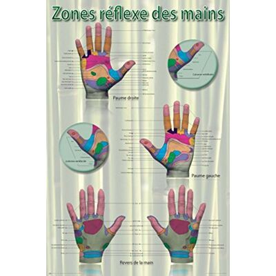 1art1 Réflexologie Poster Zones De Réflexe des Mains Affiche Murale 91x61 cm - Publicité 1art1 Réflexologie Poster Zones De Réflexe des Mains Affiche Murale 91x61 cm - Publicité