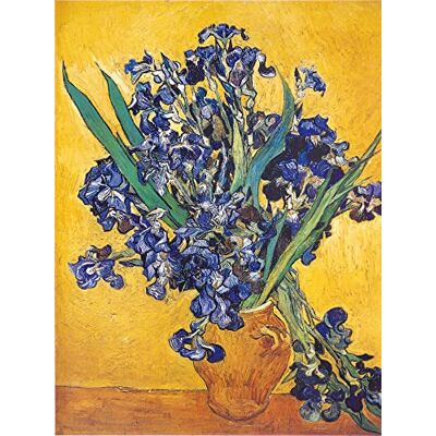 1art1 Vincent Van Gogh Poster Impression sur Toile Iris, 1889 Affiche Murale XXL Encadrée Tendue sur Cadre en Bois Tableau 40x30 cm - Publicité 1art1 Vincent Van Gogh Poster Impression sur Toile Iris, 1889 Affiche Murale XXL Encadrée Tendue sur Cadre en Bois Tableau 40x30 cm - Publicité