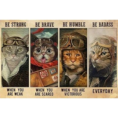 Bioprocess Affiche Cat Pilot Be Strong Be Brave Be Humble Be Badass Everyday Poster Décoration Maison Art Décoration Murale Panneau Métallique 20,3 x 30,5 cm - Publicité Bioprocess Affiche Cat Pilot Be Strong Be Brave Be Humble Be Badass Everyday Poster Décoration Maison Art Décoration Murale Panneau Métallique 20,3 x 30,5 cm - Publicité