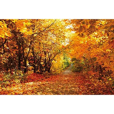 1art1 Forêts Posters XXL Coleurs d'automne Magiques, Sentier De Forêt Affiche 120x80 cm - Publicité 1art1 Forêts Posters XXL Coleurs d'automne Magiques, Sentier De Forêt Affiche 120x80 cm - Publicité