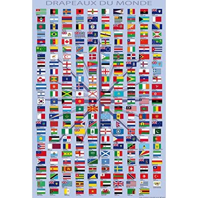 1art1 Drapeaux du Monde Poster Noms des Pays Et Capitales, en Français Affiche Murale 91x61 cm - Publicité 1art1 Drapeaux du Monde Poster Noms des Pays Et Capitales, en Français Affiche Murale 91x61 cm - Publicité