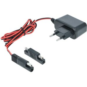 vhbw Chargeur pour démarreur de batterie compatible avec MTD tondeuse, 12 V / 0,1 A, 2m - Publicité vhbw Chargeur pour démarreur de batterie compatible avec MTD tondeuse, 12 V / 0,1 A, 2m - Publicité