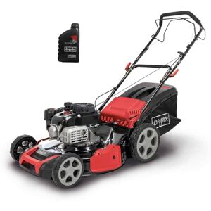 Scheppach Tondeuse à gazon à essence automotrice MS175-51 Largeur de coupe de 51 cm Fonction de tonte et de paillage 6 en 1 Moteur 5,4 HP 4 kW Sac à gazon 65 L et huile moteur 0,6 l - Publicité Scheppach Tondeuse à gazon à essence automotrice MS175-51 Largeur de coupe de 51 cm Fonction de tonte et de paillage 6 en 1 Moteur 5,4 HP 4 kW Sac à gazon 65 L et huile moteur 0,6 l - Publicité