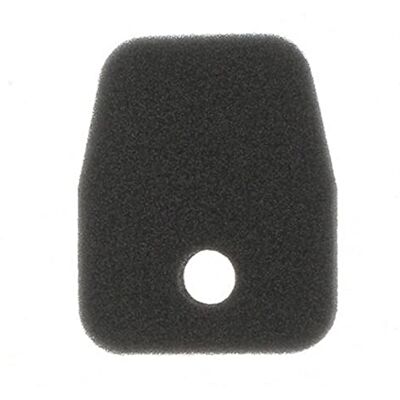 ISE Filtre à air de rechange pour Tanaka remplace le numéro de pièce 446 0650 020 pour Tanaka THT210, THT210S, HTD2520PF, HTD2526PF, HTD2530PF, HTS2530PF - Publicité ISE Filtre à air de rechange pour Tanaka remplace le numéro de pièce 446 0650 020 pour Tanaka THT210, THT210S, HTD2520PF, HTD2526PF, HTD2530PF, HTS2530PF - Publicité