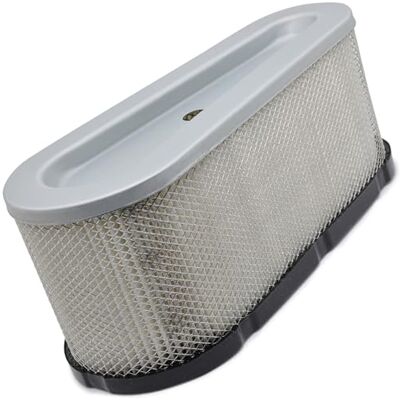 Easyboost filtre à air 496894 pour tracteur tondeuse Briggs & Stratton 12 à 15cv avec vilebrequin vertical 283702 283707 284707 284777 286702 286707 287707 287776 287777 289702 289707 - Publicité Easyboost filtre à air 496894 pour tracteur tondeuse Briggs & Stratton 12 à 15cv avec vilebrequin vertical 283702 283707 284707 284777 286702 286707 287707 287776 287777 289702 289707 - Publicité