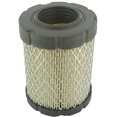 ISE Filtre à air de rechange pour moteur Briggs & Stratton série 21 remplace les numéros de pièce : 591583, 796032 - Publicité ISE Filtre à air de rechange pour moteur Briggs & Stratton série 21 remplace les numéros de pièce : 591583, 796032 - Publicité