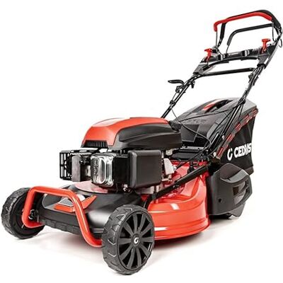 Cedrus CEDKS53S-R Tondeuse à gazon à essence avec entraînement et rouleau 53 cm 196 cc 4,2 kW Boîtier en acier 65 l Panier de ramassage 4 en 1 pour grandes pelouses jusqu'à 3000 m² - Publicité Cedrus CEDKS53S-R Tondeuse à gazon à essence avec entraînement et rouleau 53 cm 196 cc 4,2 kW Boîtier en acier 65 l Panier de ramassage 4 en 1 pour grandes pelouses jusqu'à 3000 m² - Publicité