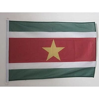 AZ FLAG Pavillon Suriname 45x30 cm Maille Bloquée Anneaux Plastique Usage extérieur et nautique Pavillon nautique surinamien résistant aux intempéries avec coutures doubles et bords renforcés - Publicité AZ FLAG Pavillon Suriname 45x30 cm Maille Bloquée Anneaux Plastique Usage extérieur et nautique Pavillon nautique surinamien résistant aux intempéries avec coutures doubles et bords renforcés - Publicité