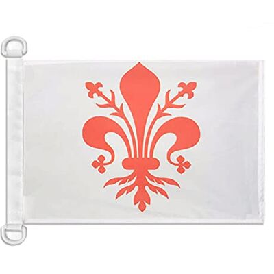 AZ FLAG Pavillon Florence 45x30 cm Italien Maille Bloquée Anneaux Plastique Usage extérieur et nautique Pavillon nautique Firenze résistant aux intempéries avec coutures doubles et bords renforcés - Publicité AZ FLAG Pavillon Florence 45x30 cm Italien Maille Bloquée Anneaux Plastique Usage extérieur et nautique Pavillon nautique Firenze résistant aux intempéries avec coutures doubles et bords renforcés - Publicité