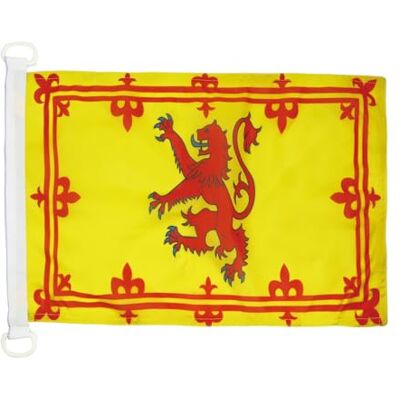 AZ FLAG Pavillon Ecosse Royal 45x30 cm Maille Bloquée Anneaux Plastique Usage extérieur et nautique Pavillon nautique écossais résistant aux intempéries avec coutures doubles et bords renforcés - Publicité AZ FLAG Pavillon Ecosse Royal 45x30 cm Maille Bloquée Anneaux Plastique Usage extérieur et nautique Pavillon nautique écossais résistant aux intempéries avec coutures doubles et bords renforcés - Publicité