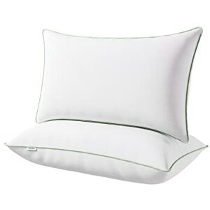 Novilla Oreiller 40x80 Lot de 2 Coussin Blanc Garnissage 100% Fibre Polyester Bon Soutien du Cou Oreillers Dodo Moelleux pour Hotellerie Lit Canapé Respirant et Doux Carré avec Fermeture Éclair - Publicité Novilla Oreiller 40x80 Lot de 2 Coussin Blanc Garnissage 100% Fibre Polyester Bon Soutien du Cou Oreillers Dodo Moelleux pour Hotellerie Lit Canapé Respirant et Doux Carré avec Fermeture Éclair - Publicité
