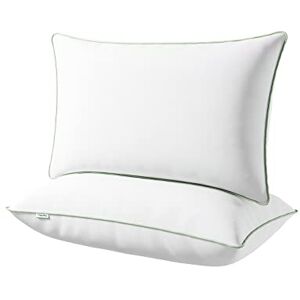 Novilla Oreiller 45x74 Lot de 2 Coussin Blanc Garnissage 100% Fibre Polyester Bon Soutien du Cou Oreillers Dodo Moelleux pour Hotellerie Lit Canapé Respirant et Doux Carré avec Fermeture Éclair - Publicité Novilla Oreiller 45x74 Lot de 2 Coussin Blanc Garnissage 100% Fibre Polyester Bon Soutien du Cou Oreillers Dodo Moelleux pour Hotellerie Lit Canapé Respirant et Doux Carré avec Fermeture Éclair - Publicité