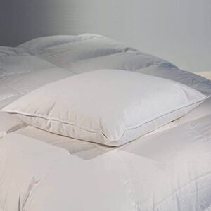 CASTEX - Oreiller Plat Moelleux Plume-Duvet 60x60 - Publicité CASTEX - Oreiller Plat Moelleux Plume-Duvet 60x60 - Publicité
