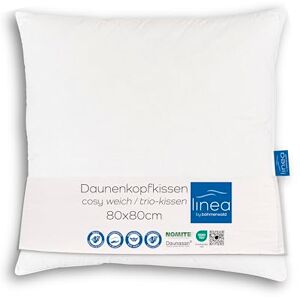linea by Böhmerwald Cosy Oreiller Souple 3 Compartiments (Intérieur 100% Plumes, Extérieurs 90% Duvet/10% Plumes), 80 x 80 cm, Convient aux Allergiques, Lavable à 60 °C, Fabriqué en Allemagne - Publicité linea by Böhmerwald Cosy Oreiller Souple 3 Compartiments (Intérieur 100% Plumes, Extérieurs 90% Duvet/10% Plumes), 80 x 80 cm, Convient aux Allergiques, Lavable à 60 °C, Fabriqué en Allemagne - Publicité