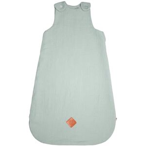 Sevira - Tog05 - Vert - 0-6m - Baby sleeping bag - Publicité Sevira - Tog05 - Vert - 0-6m - Baby sleeping bag - Publicité