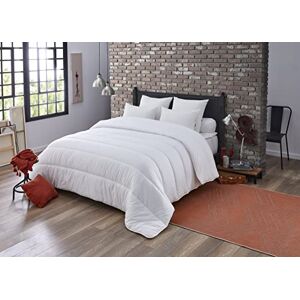 DODO Couette Tempérée 220x240 cm Convient 1-2 Personnes- Douceur Peau de Pêche Tissu 100% Polyester Garnissage 100% Polyester Fibre Circul'Air Lavable en Machine à 40°C - Publicité DODO Couette Tempérée 220x240 cm Convient 1-2 Personnes- Douceur Peau de Pêche Tissu 100% Polyester Garnissage 100% Polyester Fibre Circul'Air Lavable en Machine à 40°C - Publicité