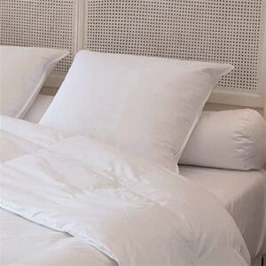 CASTEX - Oreiller Plat Moelleux Plume-Duvet 50x70 - Publicité CASTEX - Oreiller Plat Moelleux Plume-Duvet 50x70 - Publicité