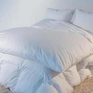 CASTEX Édredon Gonflant Blanc Plume-Duvet 180x170 - Publicité CASTEX Édredon Gonflant Blanc Plume-Duvet 180x170 - Publicité