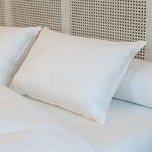 CASTEX Oreiller Mi-Ferme Plume-Duvet 50x70 - Publicité CASTEX Oreiller Mi-Ferme Plume-Duvet 50x70 - Publicité