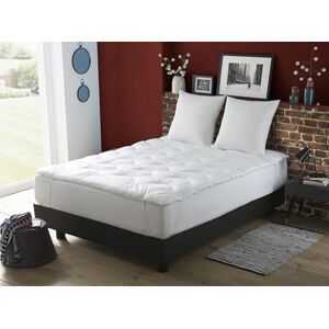 DODO Surmatelas Ultra Confort 140x190 cm pour Lit 2 Personnes Micro-Respirant, Moelleux Garnissage 100% Polyester Thermolite Reflex 65% Polyester, 35% Coton Lavable à 40°C - Publicité DODO Surmatelas Ultra Confort 140x190 cm pour Lit 2 Personnes Micro-Respirant, Moelleux Garnissage 100% Polyester Thermolite Reflex 65% Polyester, 35% Coton Lavable à 40°C - Publicité
