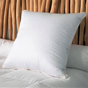 CASTEX Oreiller Moelleux Duvet/Coton Bio 60x60 - Publicité CASTEX Oreiller Moelleux Duvet/Coton Bio 60x60 - Publicité