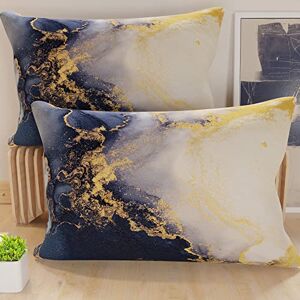PETTI Artigiani Italiani 2 Taies d’Oreiller 70x40 cm en Microfibre, Coussins Décoratifs Chambre, Salon, Lot de 2 Housses de Coussin, Taie Marbre 08, 100% Made in Italy - Publicité PETTI Artigiani Italiani 2 Taies d’Oreiller 70x40 cm en Microfibre, Coussins Décoratifs Chambre, Salon, Lot de 2 Housses de Coussin, Taie Marbre 08, 100% Made in Italy - Publicité