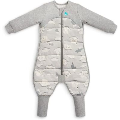 Love To Dream ™ Combinaison Pyjama avec Jambes, 6-12 Mois Grise Manches Longues, Couverture et Couette légères 3,5 Tog Hiver/Automne 14-16 °C Coton Lavable en Machine Zip Double Sens - Publicité Love To Dream ™ Combinaison Pyjama avec Jambes, 6-12 Mois Grise Manches Longues, Couverture et Couette légères 3,5 Tog Hiver/Automne 14-16 °C Coton Lavable en Machine Zip Double Sens - Publicité