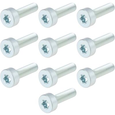 Axis 10 Vis de Fixation pour Cylindre de Lanceur de Tronçonneuse en Forme de Fleur de Prunier M5x18mm Compatible avec STIHL - Publicité Axis 10 Vis de Fixation pour Cylindre de Lanceur de Tronçonneuse en Forme de Fleur de Prunier M5x18mm Compatible avec STIHL - Publicité