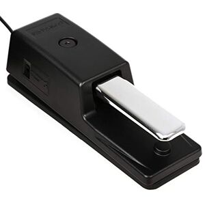 Roland DP-10 Pédale de sustain - Publicité Roland DP-10 Pédale de sustain - Publicité