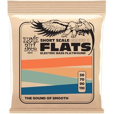 Ernie Ball Short Scale Flatwound Group 1 Cordes à filet plat, diapason court, pour basse électrique, calibre 50-110 - Publicité Ernie Ball Short Scale Flatwound Group 1 Cordes à filet plat, diapason court, pour basse électrique, calibre 50-110 - Publicité