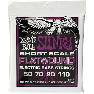 Ernie Ball Power Slinky Cordes à filet plat, diapason court, pour basse électrique, calibre 50-110 - Publicité Ernie Ball Power Slinky Cordes à filet plat, diapason court, pour basse électrique, calibre 50-110 - Publicité