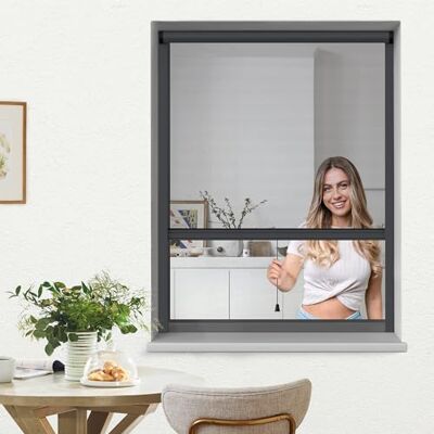 jarolift 4 en 1 Zanzara Moustiquaire Enroulable Pour fenêtres, Cadre En Aluminium, Toile En Fibre De Verre Robuste, 130 x 160 cm (larg x H), Anthracite - Publicité jarolift 4 en 1 Zanzara Moustiquaire Enroulable Pour fenêtres, Cadre En Aluminium, Toile En Fibre De Verre Robuste, 130 x 160 cm (larg x H), Anthracite - Publicité