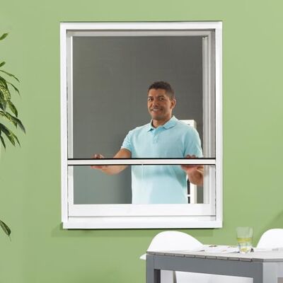 empasa Moustiquaire enroulable fenêtre CLASSIC, fibre, blanc, anthracite moustiquaire extensible, en PVC et fibre de verre noire, Taille : 150 x 160, Couleur : blanc - Publicité empasa Moustiquaire enroulable fenêtre CLASSIC, fibre, blanc, anthracite moustiquaire extensible, en PVC et fibre de verre noire, Taille : 150 x 160, Couleur : blanc - Publicité