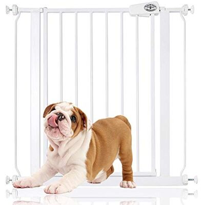 Bettacare Barrière pour Chien à Installation Facile, Barrière à Pression pour Chien et Chiot, 75cm 83cm, Couleur Blanc - Publicité Bettacare Barrière pour Chien à Installation Facile, Barrière à Pression pour Chien et Chiot, 75cm 83cm, Couleur Blanc - Publicité