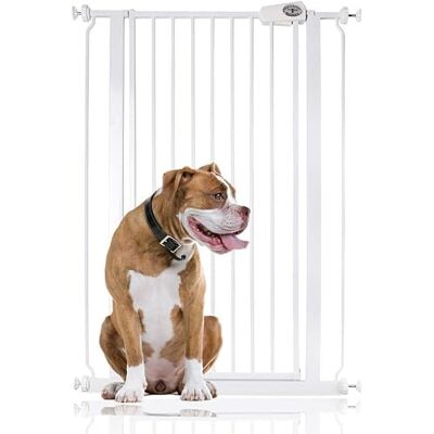 Bettacare Barrière Extra Haute Premium pour Chien, Installation Facile par Pression pour Chien et Chiot, 75cm 83cm, Extra Haute de 104cm, Couleur Blanc - Publicité Bettacare Barrière Extra Haute Premium pour Chien, Installation Facile par Pression pour Chien et Chiot, 75cm 83cm, Extra Haute de 104cm, Couleur Blanc - Publicité