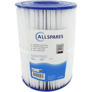 AllSpares Filtre à eau pour jacuzzi / piscine Cartouche filtrante pour Hayward StarClear CX250RE / C250 / C250EURO (diamètre 178 x 247 mm) - Publicité AllSpares Filtre à eau pour jacuzzi / piscine Cartouche filtrante pour Hayward StarClear CX250RE / C250 / C250EURO (diamètre 178 x 247 mm) - Publicité