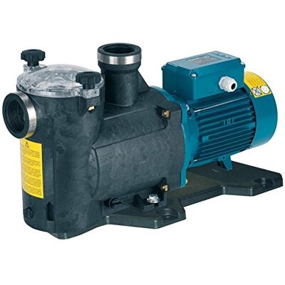 Calpeda MPC 61 HP 380 Pompe autoamorçante pour piscine - Publicité Calpeda MPC 61 HP 380 Pompe autoamorçante pour piscine - Publicité