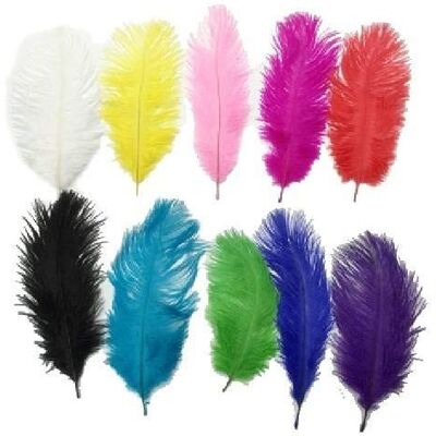 EUROCARNAVALES PAPILLON Plumes d'autruche Pack 10 34/38 cm Parti Costume rouge Accessoires 865 - Publicité EUROCARNAVALES PAPILLON Plumes d'autruche Pack 10 34/38 cm Parti Costume rouge Accessoires 865 - Publicité