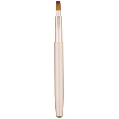 BIGULA Pinceau à lèvres rétractable avec applicateur portable pour rouge à lèvres brillant à lèvres professionnel poils synthétiques outil de maquillage - Publicité BIGULA Pinceau à lèvres rétractable avec applicateur portable pour rouge à lèvres brillant à lèvres professionnel poils synthétiques outil de maquillage - Publicité