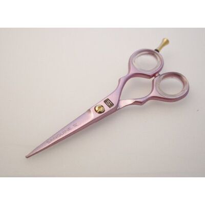 Sanguine Ciseaux de Coiffure Professionnels Rose Ciseaux de Coupe de Cheveux 12,7 cm Lames Ultra Tranchantes pour Réduire les Pointes Fourchues et Favoriser des Cheveux Plus Sains Étui Inclus - Publicité Sanguine Ciseaux de Coiffure Professionnels Rose Ciseaux de Coupe de Cheveux 12,7 cm Lames Ultra Tranchantes pour Réduire les Pointes Fourchues et Favoriser des Cheveux Plus Sains Étui Inclus - Publicité