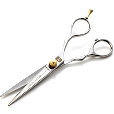 Sanguine Ciseaux de Coiffure Ultra Tranchants pour Réduire les Pointes Fourchues Outils Professionnels pour Couper les Cheveux, 14 cm, étui inclus - Publicité Sanguine Ciseaux de Coiffure Ultra Tranchants pour Réduire les Pointes Fourchues Outils Professionnels pour Couper les Cheveux, 14 cm, étui inclus - Publicité