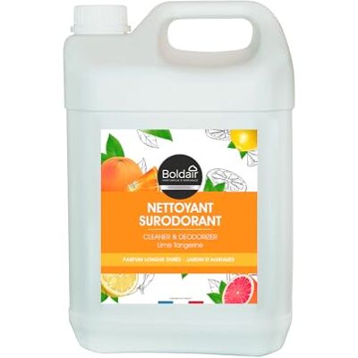 Boldair Nettoyant Surodorant Sols & Surfaces Sans rinçage Formule concentrée avec bouchon doseur Jardin d'agrumes 5L - Publicité Boldair Nettoyant Surodorant Sols & Surfaces Sans rinçage Formule concentrée avec bouchon doseur Jardin d'agrumes 5L - Publicité