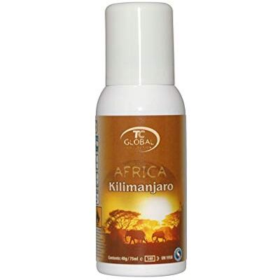 Recharges pour Parfum d'Intérieur Microburst 3000 - Ère Glaciaire - Pack de 12 - Publicité Recharges pour Parfum d'Intérieur Microburst 3000 - Ère Glaciaire - Pack de 12 - Publicité