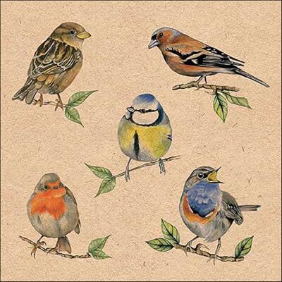 Ambiente Lot de 20 serviettes en papier avec motifs d'oiseaux de la patrie Idéales également pour le découpage et la technique des serviettes 33 x 33 cm - Publicité Ambiente Lot de 20 serviettes en papier avec motifs d'oiseaux de la patrie Idéales également pour le découpage et la technique des serviettes 33 x 33 cm - Publicité