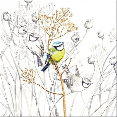 Ambiente Serviettes en papier de Noël Sweet little Bird / oiseau, neige, hiver 33 x 33 cm - Publicité Ambiente Serviettes en papier de Noël Sweet little Bird / oiseau, neige, hiver 33 x 33 cm - Publicité