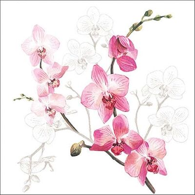 Ambiente Serviettes en papier Orchidée / orchidée 33 x 33 cm - Publicité Ambiente Serviettes en papier Orchidée / orchidée 33 x 33 cm - Publicité