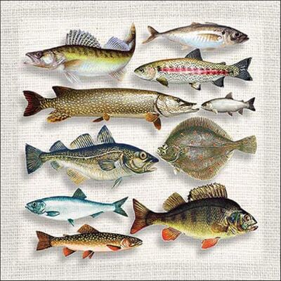 Ambiente Serviette Lunch 33 x 33 cm Motif : poissons variés Butt Zander Truite Lot de 20 - Publicité Ambiente Serviette Lunch 33 x 33 cm Motif : poissons variés Butt Zander Truite Lot de 20 - Publicité